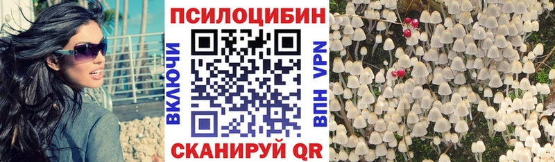 закладки  Кисловодск  мориарти какой сайт  Галлюциногенные грибы Cubensis 